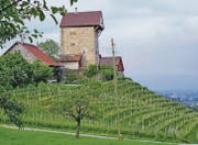 Hoch über Lüchingen thront die Burg Neu Altstätten, ein Wahrzeichen des St. Galler Rheintals. (Bild: pd)