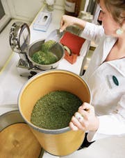 Eine Apothekerin wiegt getrocknete Heilkräuter ab. (Bild: Gaëtan Bally/Keystone (Zürich, 9. Juni 2005))