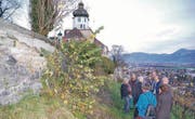 Eine deutlich faule, von Pflanzen durchwachsene Mauer: Thomas Oesch (3. v. r.) auf einer der Führungen. (Bilder: Maya Schmid-Egert)