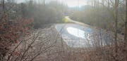 Der neue Amphibienweiher beim Gillhof in Henau hat bereits Gestalt angenommen. Er soll dieses Jahr von der CVP-Ortspartei Uzwil besichtigt werden. (Bild: Andrea Häusler)