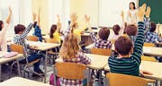 Leistungsklassen wären aus Zugpferdchen der Regelklassen zusammengesetzt. (Bild: depositphotos)