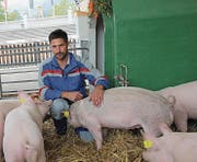 Der Landwirt Ralph Anderes kümmert sich um die Rennsäuli und hilft während der Olma-Zeit im Bogenzelt. (Bild: Sheila Eggmann)