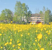 Ein Platz im Alter. Uzwil hat sich mit dieser Frage beschäftigt und Pläne für die Entwicklung des Areals Sonnmatt erstellen lassen. (Bild: Zita Meienhofer)