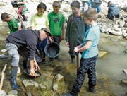 Fündig wurden sie; wie viel Gold Markus Zinniker und die Rheintaler Goldwäscher eingesteckt haben, wird an dieser Stelle aber nicht verraten. Schliesslich findet am 18. April ein zweiter Kurs statt, für den es noch freie Plätze gibt. (Bild: Kurt Latzer)