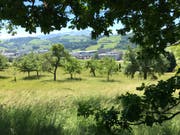 Wanderung 22.06.2017