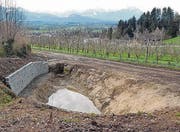 Beim Pfadiheim liess der Verein einen Weiher ausbaggern. Die Trockenmauer bietet der Geburtshelferkröte Unterschlupf. (Bild: pd)