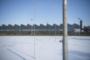 Wo einst Fussball gespielt wurde, sollen im Jahr 2020 die ersten Schulkinder unterrichtet werden. (Bild: Ralph Ribi)