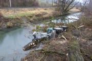 Der Traktor rutschte bei Forstarbeiten am Binnenkanalweg in Sennwald in den Kanal. (Bild: Kapo SG)