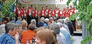Doch fast wie im Föhrenwäldli: Die Männer vom Jodelchörli gaben sich nicht nur beim Singen Mühe, sondern auch beim Schmücken der Aula. (Bild: Michael Hug)