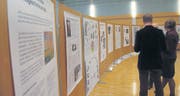 Die grossen Plakate in der Aula der Kantonsschule Trogen zeigen den Inhalt des Buchs «Kollegiale Lehrkunstwerkstatt». (Bild: Markus Fässler)