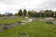Weshalb der Mann die Herrschaft über seinen Wagen verlor, ist unklar. (Bild: Kapo TG)
