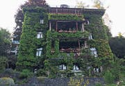 Bewachsen: Das Haus an der Zwinglistrasse 30 wurde 1897 von den St. Galler Architekten Scheier & Dürtscher erbaut. Es galt damals als «Haus für den einfachen Mann».