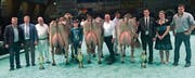 Siegerbild Grand Champion (von links): Nationalrat Toni Brunner, Ringman Daniel Gasser, OK-Präsident Emil Zwingli, Siegerkühe mit Sohn Manser, Gottfried Jud, Richter Paul Caduff, Braunviehkönigin Patrizia Hobi, Michael Böhi, Swiss Genetics. (Bild: Anna Gasser)