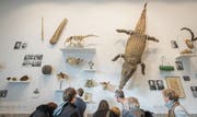 Das Nilkrokodil und andere Ausstellungsstücke an der Wand im Museumsfoyer. (Bilder: Benjamin Manser)