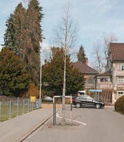 Die Aufhebung der Baumgrube an der Lindenstrasse soll im Rahmen des Sanierungsprojekts «Fussgängerquerung» 2018 geprüft werden. (Bild: Andrea Häusler)