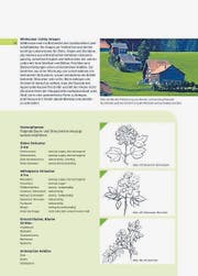 Broschüre Umgebungsgestaltung ausserhalb der Bauzone, Eingabe für Gutes Bauen Ostschweiz, Verwendung unter Quellenangabe erlaubt (Bild: Appenzell Ausserrhoden)