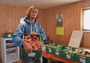 Der «Beeribuur» Roman Schildknecht in seinem Hofladen in Mörschwil. Im Moment haben Äpfel Hochsaison. (Bild: Nina Rudnicki)