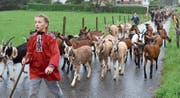 Auch 42 Ziegen verbrachten den Sommer auf den Alpen der Ortsgemeinde Wartau. (Bild: Katharina Rutz)