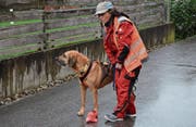 Die Rheintaler Hundestaffel ist auf Spurensuche spezialisiert. Hauptinstrument ist dabei das Riechvermögen des Hundes. (Bild: Roland Jäger)