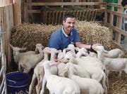 Christian Schönbächler inmitten seiner Lämmchen. Das Schöppeln findet täglich um 10 und 15 Uhr in der Halle 7.1 statt. (Bild: Kathrin Reimann)