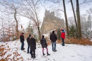 Ein halbes Dutzend Häggenschwilerinnen und Häggenschwiler liessen sich am Samstag das Projekt zur Sicherung der Ruine Ramschwag erklären. (Bild: Urs Bucher)