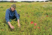 Vor lauter Blumen und Kräutern kaum zu sehen: Peter Trunz zeigt eines der Tännchen, welche er vor zwei Jahren gesetzt hat. (Bild: Urs Bänziger)