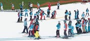 85 Schulkinder aus Bazenheid genossen es am Donnerstag, auf den Pisten der Ebenalp Ski und Snowboard zu fahren. (Bild: PD)