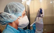 Neovii, die lebensrettende Arzneimittel entwickelt, vertreibt ihre Produkte mittlerweile in gut 50 Ländern. (Bild: PD)