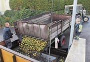 Bis Mitte November können die Bauern in Waldkirch Obst anliefern. Die Firma Möhl Arbon presst dann Saft daraus. (Bild: Manuela Bruhin)