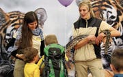 Mutig: Kinder streicheln an der Offa einen vier Meter langen Tigerpython aus dem Walter-Zoo. (Bilder: Christoph Renn)