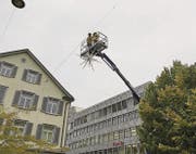 Mitarbeiter einer St. Galler Elektrofirma haben gestern Morgen kurz nach 8 Uhr den ersten aller Sterne hochgezogen. (Bild: Daniel Wirth)