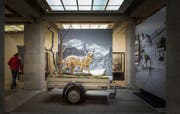 Das Naturmuseum soll als Teil der Strategie «Drei Museen – drei Häuser» umgebaut werden. (Bild: Michel Canonica (14. Dezember 2016))