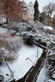 Der Falkenburgweg: Dort, wo vor kurzem die Buchsbäume standen, liegt heute Schnee. (Bild: Christina Weder)