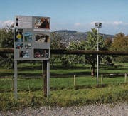 «Wir wollen uns zeigen»: Die Kapuzinerinnen des Klosters Notkersegg präsentieren sich entlang des Spazierwegs. (Bild: Roger Berhalter)