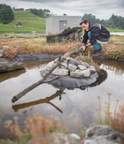 Auf den Dächern der Migros-Betriebszentrale gedeiht eine biotopartige Naturlandschaft. Roland Huber, der zuständig für deren Pflege ist, muss der Natur ab und zu unter die Arme greifen. (Bild: Benjamin Manser)
