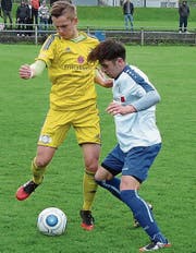 Michel Jonovic (r.) erzielte den 2:2-Ausgleich. (Bild: Günther Böhler)