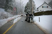 Die Unfallfahrerin gab an, von ihrem Hund abgelenkt worden zu sein. (Bild: Stapo SG)
