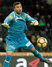 «Das Tor nehme ich auf meine Kappe»: St. Gallens Goalie Dejan Stojanovic. (Bild: Pascal Muller/Freshfocus)