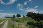 WP-Seite_29_06_2017 (Bild: gia)