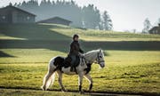 Saftig grüne Wiesen und Temperaturen wie im März: Das lockt dieser Tage Mensch und Tier nach draussen, hier beim Schloss Watt in Mörschwil. (Bilder: Hanspeter Schiess (29. Januar))