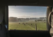 Dorfrundgang durch die Region Waldkirch, mit Aurelio Zaccari, Kandidat fürs Waldkircher Gemeindepräsidium, am Freitag, 28. Oktober 2016. © Benjamin Manser / TAGBLATT (Bild: Benjamin Manser (Benjamin Manser))