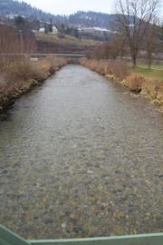 Blick vom Fussgängersteg flussabwärts. Im Hintergrund ist die Brücke der Umfahrungsstrasse zu sehen. In diesem Bereich soll die Thur ausgeweitet werden. (Bild: Martin Knöpfel)