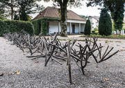 Serie Gutes Bauen in der Ostschweiz: Die Kunstweke auf den Gemeinschaftsgräbern suchen Symbolhaftigkeit, Gemeinchaftlichkeit und Gedenken zu verbinden. Ganz neu auf dem Friedhof Bruggen sind es die in Bronze gegossenen liegenden Baustämme mit eingravierten Namen wie in Holz geritzt, auf dem Friedhof St. Georgen in einander verkeilte Aeste aus Bronze. Beides Werke der Landschaftarchitektin Rita Mettler aus Gossau ujnd der Künstlerin Kaja Terpinska aus Berlin. Auf dem Friedhof in Speicher AR sind es die 'Sechsmetererinnerungen' als 180 Bücher aufgereiht. Die mit den Namer der Toten beschrifteten Büchrücken stehen für die individuellen Biografien. Dieses Werk stammt von dem Künstler Jan Kaeser aus dem Jahr 2005. (Bild: Hanspeter Schiess)