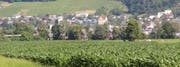 Die Ortsgemeinde Balgach hat viel mit Wald und Landwirtschaft zu tun: Sie verhandelt derzeit mit Bauern über Strassenbeiträge und mit der politischen Gemeinde über eine finanzielle Beteiligung am Bachunterhalt im Wald. Zudem hat sie vor, ihr letztes Bauland zu vergeben. (Bild: Archiv/gb)