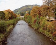 Die Thursanierung soll zu einem neuen Bild des Wattwiler Zentrums beitragen. Beispielsweise mit Flusszugängen im Bereich des künftigen Campus Wattwil. (Bild: Martin Knoepfel)