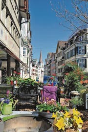 Schmuck: Die Gartenbauer und Floristen haben die Schaugärten, die im ganzen Städtli verteilt sind, mit viel Liebe gestaltet. Diesen hier findet man in der Marktgasse. (Bild: Max Tinner)