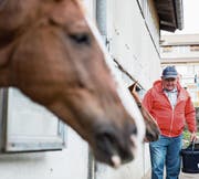 Kurt Bischofberger engagiert sich bei Voltige Lütisburg als stiller Schaffer im Hintergrund. (Bilder: Mareycke Frehner)