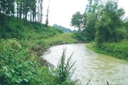 Die Glatt frass sich links unter dem Wald in die Deponie. Mit einem Naturverbau als Sofortmassnahme wurde die Erosion gestoppt. Doch das genügt noch nicht. (Bild: PD)