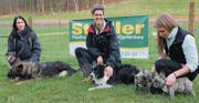 Filadelfia Gaspari, Priska Kilchmann und Rahel Meister (v. l.) leiten die beiden Trainingsgruppen «Begleithund» und «Plausch». (Bilder: Andrea Häusler)