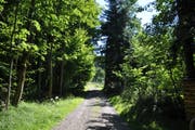 Wanderung 10.08.2017 (Bild: Miranda Diggelmann)